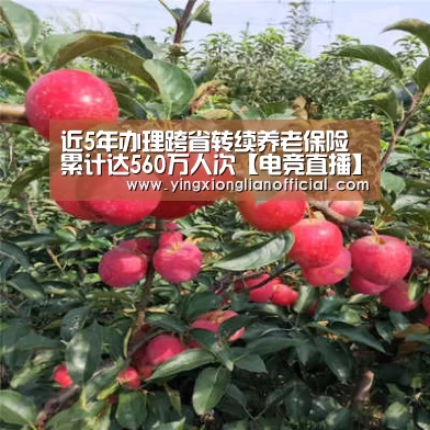 电竞直播